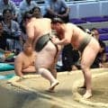 幕下・藤壮大が３場所ぶり勝ち越し「突き押しに圧力負けをしないようになってきている」　夜食の海鮮丼で先場所から体重が６キロ増
