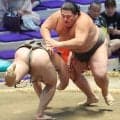 幕下・海真、４場所連続の勝ち越し　兄弟子の高安に感謝「日々胸を貸していただいて稽古しているので」