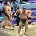 幕下・行徳、心筋炎から復帰後４場所連続の勝ち越し「早く自己最高位にいきたい」
