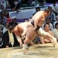 友風が引き落としで４勝目　「負け越して気持ちが吹っ切れました。だから立ち合いが良かったのだと思います」