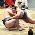 十両・白熊、寿之富士を倒し３連勝で９勝３敗　首位に１差も「優勝の可能性あるんですか？」無欲で逆転Ｖ目指す