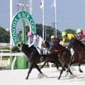 園田競馬９Ｒで３連単１２３９万４１６０円　兵庫競馬史上最高配当が飛び出す　９→１２→４番人気の決着で的中１票