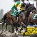 【東海S出走馬・騎手確定】ドンインザムード＆荻野極騎手、ダノンフィーゴ＆川田将雅騎手など14頭