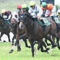 【関屋記念出走馬・騎手確定】エルトンバローズ＆J.コレット騎手、ダノンセンチュリー＆戸崎圭太騎手など14頭