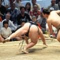 東十両筆頭・朝翠龍が勝ち越し　来場所の新入幕に前進　兄・朝紅龍との兄弟幕内の可能性に「両親も望んでいたので、うれしい」