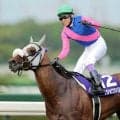 【注目馬動向】武豊騎手と凱旋門賞に挑むメイショウタバルは直行で参戦　石橋調教師「８月１０日前後に戻す予定です」