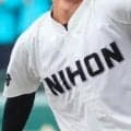 長崎大会の決勝は長崎日大vs大崎に決定！長崎日大が14得点5回コールド勝利で決勝へ！【26年夏高校野球】