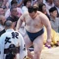 安青錦は「気力がもつかどうか」、豊昇龍は「つらいだろう」八角理事長が心理面を指摘
