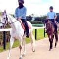 ドウデュース、イクイノックス世代のダービー１番人気　ダノンベルーガは誘導馬としてたぐいまれな才能を発揮中