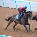 【アイビスＳＤ・１週前】千直３度目の正直！バグラダスが８１秒８の好時計　嘉藤調教師「あきらめきれないです」