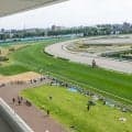 「厚岸特別」や「積丹特別」は読める？ 札幌競馬の難読レース名たち