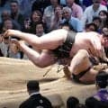 獅司がライオンになった？過去３戦全敗の朝乃山撃破…２敗でトップ　おかみさんエールに応える