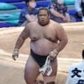 幕下全勝の生田目は13日目に取組なし、珍しい取組編成／各段優勝の行方