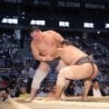 虫刺されで心筋炎発症、苦労人の行徳が勝ち越し「番付を早く戻したい」名古屋は屋外土俵も対策【大相撲】