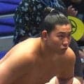 「一体、何頭身よ」「モデルやん」188センチの20歳“ほっそり”力士が話題