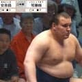 「見てられない」「歩き方がもう…」安青錦、花道を下がっていく姿にファン悲痛 「限界を超えてる」「休ませてあげて」