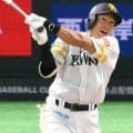 ソフトバンク九回サヨナラ勝ち　１０カード連続負け越しなし　代打・柳田が試合を決める　３点リードの九回は抑えの杉山が救援失敗、同点３ラン被弾