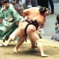 獅司“ライオン作戦”で２敗守り最多タイ１０勝　おかみさんの檄「ライオンみたいに暴れてこい」にひょう変　四つでガブッと朝乃山を豪快下手投げ