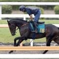 【ＰＯＧ】「今週の新馬、狙いはどの馬？」馬トク記者がオススメ情報をしゃべり尽くす！　札幌には「すごい」馬が登場　