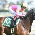 馬主はソフトバンクHの柳田悠岐選手 ブラックミューズが初勝利なるか