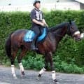 【東海Ｓ】ドンインザムードは４枠５番　昨年Ｖのヤマニンウルスと同じ馬番になった有力馬は！？　今週から中京と新潟は７Ｒがメイン