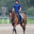 【関屋記念・枠順確定】宮田厩舎に転厩初戦のダノンセンチュリーは５枠８番　トップハンデのエルトンバローズは７番枠