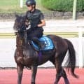 【東海Ｓ】昨年Ｖのヤマニンウルスと同じ馬番になった有力馬は！？　今週から中京と新潟は７Ｒがメイン　枠順決定
