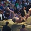 幕下力士の「もの凄い投げ」が話題 巨漢力士を豪快に“ぶん投げる”衝撃結末