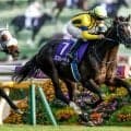 【英・キングジョージ枠順確定】マスカレードボールは4番ゲート、ヴェルテンベルクは3番ゲート