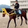 【キングジョージ】宮本調教師「マスカレードボールが隣ということで良かった」ヴェルテンベルクは３番ゲートから　