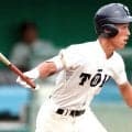 夏の高校野球地方大会で「番狂わせ」はなぜ起きる？　データ分析に重圧と焦り、酷暑も一因…一発勝負の怖さとは