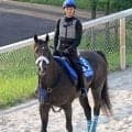 今週の中京競馬場は最高気温３８～４０度予想　東海Ｓ出走のノーブルロジャーは「わざと遅い時間に乗って」暑熱順化