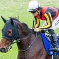 リバティアイランドの半弟 ダノンダックスが必勝期す初陣だ