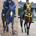 【キングジョージ】アスコットはパンパンの良馬場濃厚　日本馬得意のスピード馬場で世界最強馬カランダガン撃破なるか