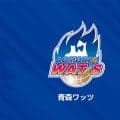 青森ワッツがロシア出身ビッグマンを獲得…GM「高い運動量と器用さも兼ね備え、バスケットボールIQも高い」