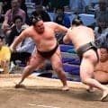 旭富士が６勝目　他力ながら幕下優勝決定戦進出の可能性残した