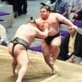 横綱のしこ名を継ぐ旭富士が６勝目　幕下優勝決定戦進出の可能性を残す