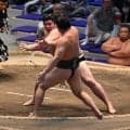 イケメン力士の大森、２日連続「油マシマシ」も１敗対決で黒星「迷っていた…甘かった」と反省