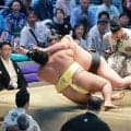東幕下筆頭・丹治が勝ち越し　来場所の新十両昇進が濃厚「今日の１勝を忘れないと思う」