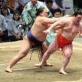 西十両３枚目・出羽ノ龍が９勝目　来場所の新入幕に前進「あと２番あるので、大事にやっていきたい」
