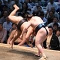 安青錦が２敗でトップ死守、霧島との直接対決制す　２横綱２大関との対戦終了…３度目Ｖへ前進