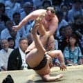 大相撲Ｖ争い　安青錦が２敗で単独トップ　霧島は痛恨の３敗目　熱海富士は豊昇龍を寄り倒して１０勝目