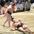 安青錦が２敗で単独首位　霧島は横綱昇進が消えかかる３敗目　熱海富士、尊富士、獅司と１差で追う展開に　琴桜は勝ち越してカド番脱出