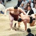熱海富士が豊昇龍を撃破　３敗を守って首位と１差　「毎日勝つつもりでやっています」　関脇１０勝目で大関昇進の起点に