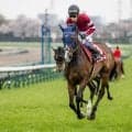 【クイーンS想定馬・騎手】ボンドガール、ヴーレヴーなど17頭