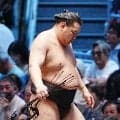 千秋楽は７勝７敗同士の横綱相星決戦も？SNS騒然「前代未聞の事態になる」