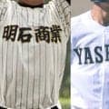 社がコールド勝ち、明石商がタイブレークで神戸国際大付に逆転勝利！決勝は3年ぶりの公立校対決に！兵庫準決勝【26年夏高校野球】
