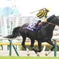 ジャンタルマンタルが競走馬登録を抹消　種牡馬となる予定の社台スタリオンステーションに到着