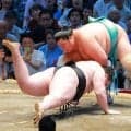 大関・琴桜がカド番を脱出　１３日目での勝ち越しについては「満足するわけではないので」