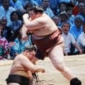 座布団舞わず…熱海富士10勝目、197キロ重い腰で豊昇龍寄り倒す　逆転Vなら来場所大関とりも